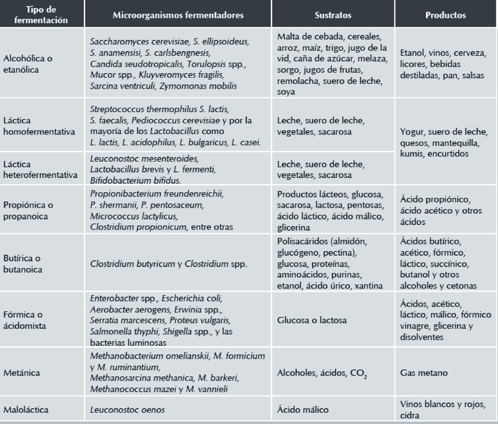 Historia de la Fermentación