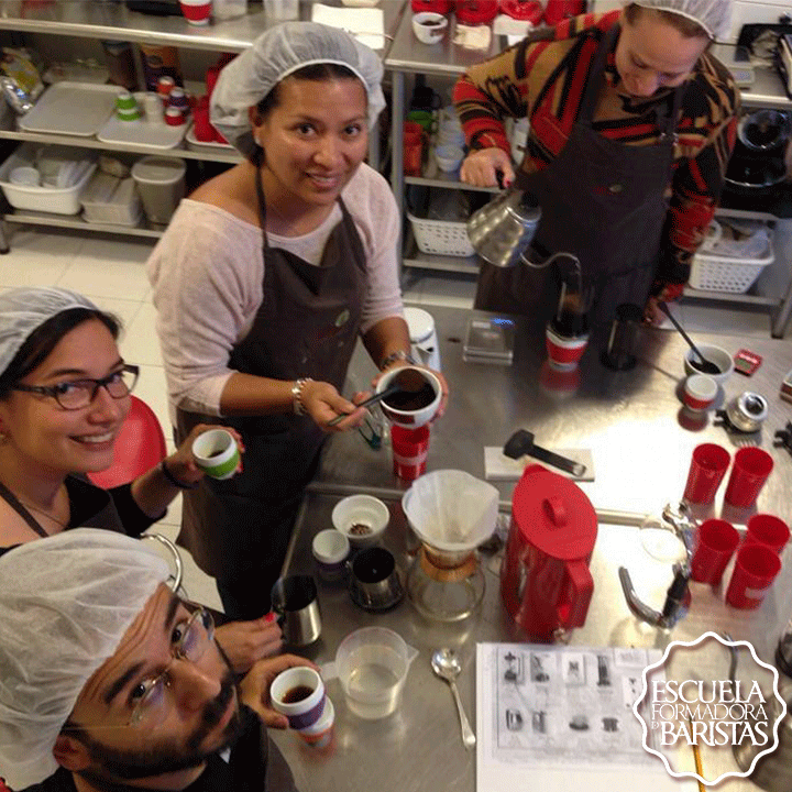 Curso Brewing Coffee