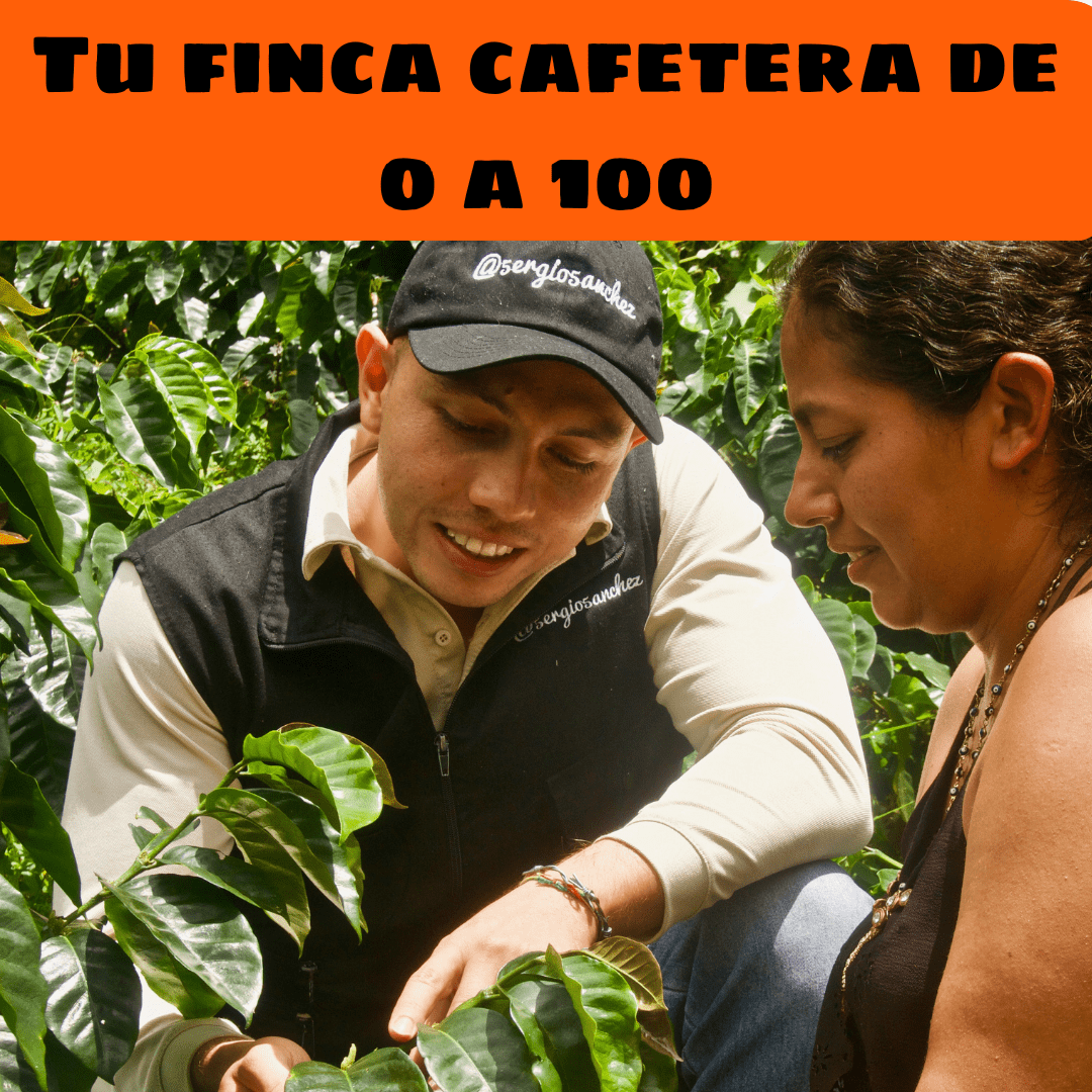 Curso Tu Finca Cafetera de 0 a 100