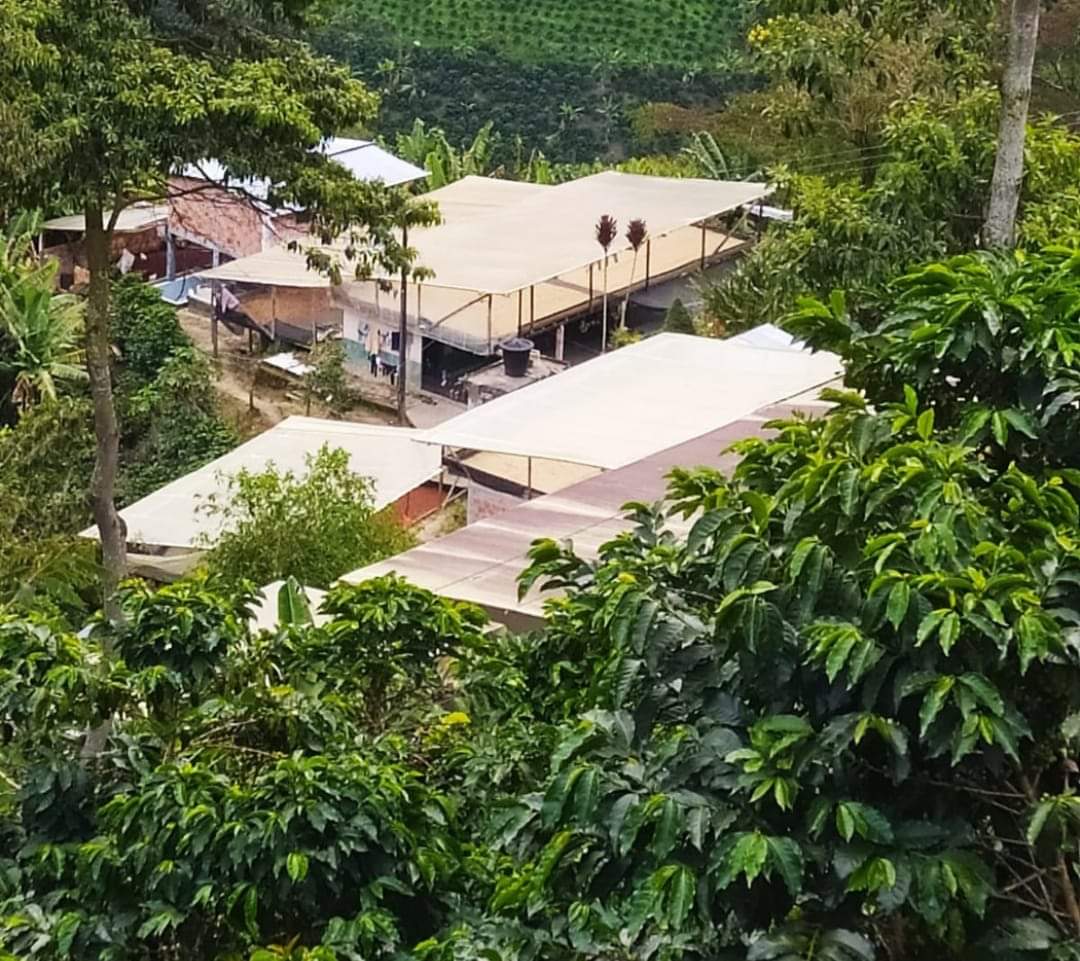 Finca Cafetera a la Venta - Acevedo, Huila