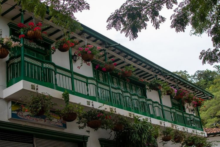 Tour de Café en Finca Cafetera Tradicional y Cascadas - Ciudad Bolivar, Antioquia