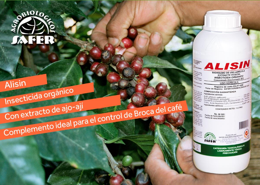 Extracto de ajo insecticida agricola